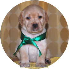 女の子(緑リボン母エメラルド)